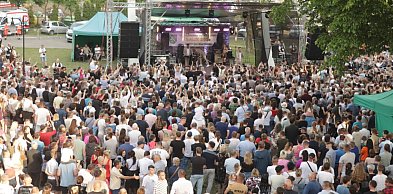 Wiklina i muzyka na targach Salix w Wierzbinku