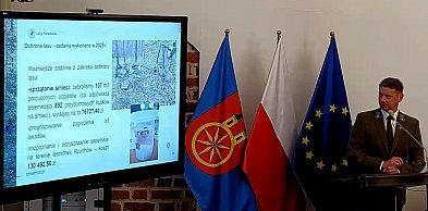 Czy stare opony nadal lądują w lasach?