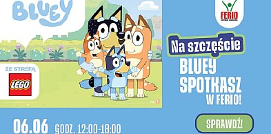 Spotkaj Bluey na żywo! Tylko w Ferio Konin