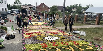 Od świtu układali kwietny dywan przed kościołem