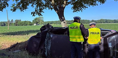 Wypadek na drodze wojewódzkiej