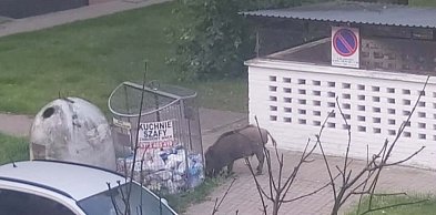 Dziś 5.40! Ulica Górnicza